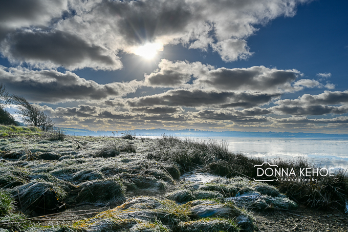 Frozen Bannow Bay at dawn
